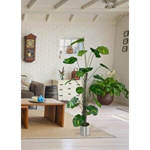 Yapay Ağaç Difenbahya Tropik 18 Dallı Çalılı Gövde 120x60cm Gümüş Aleminyum Saksıda