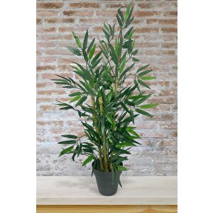 Yapay Ağaç Bambu Ağacı 3 Gövdeli 90*40cm Siyah Saksılı