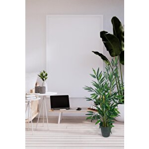 Yapay Ağaç Bambu Ağacı 3 Gövdeli 90*40cm Siyah Saksılı