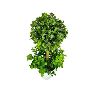 Yapay Ağaç Şimşir Top Tek Toplu Şimşirli 12x31cm Beyaz Saksıda