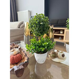 Yapay Ağaç Şimşir Top Tek Toplu Şimşirli 12x31cm Beyaz Saksıda