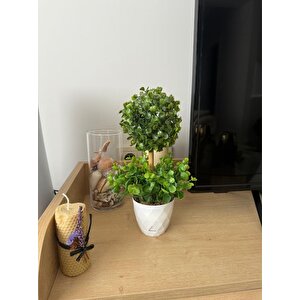 Yapay Ağaç Şimşir Top Tek Toplu Şimşirli 12x31cm Beyaz Saksıda