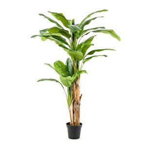 Yapay Ağaç Muz Ağacı Yapay Starliçe 240cm Siyah Plastik Saksıda