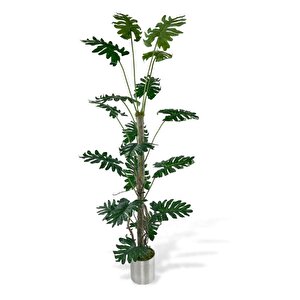 Yapay Ağaç Syngonium Plants 18 Dallı Çalılı Gövde 120x60cm Gümüş Aleminyum Saksıda