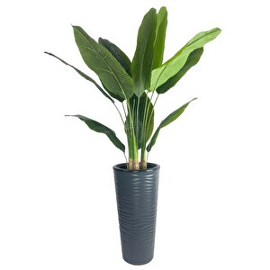 Yapay Starliçe Muz Ağacı Antrasit Kumsal Vazoda Muz Ağacı Yapay Starliçe 150cm 12 Yaprak