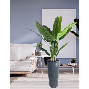 Yapay Starliçe Muz Ağacı Antrasit Kumsal Vazoda Muz Ağacı Yapay Starliçe 150cm 12 Yaprak
