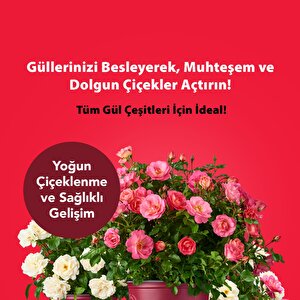 Kullanıma Hazır Gül Sıvı Bitki Besini – Bol Çiçeklenme Ve Güçlü Büyüme Sağlayan, İç Ve Dış Mekan Gülleri İçin