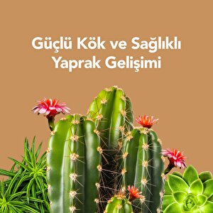 Kullanıma Hazır Sukulent Sıvı Bitki Besini – Güçlü Kök Ve Sağlıklı Yapraklar İçin Besleyici Bitki Besini