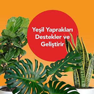 Kullanıma Hazır Tropikal Sıvı Bitki Besini – Canlı Yapraklar Ve Güçlü Kökler İçin Besleyici Formül