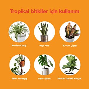 Kullanıma Hazır Tropikal Sıvı Bitki Besini – Canlı Yapraklar Ve Güçlü Kökler İçin Besleyici Formül