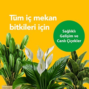 Kullanıma Hazır İç Mekan Sıvı Bitki Besini – Sağlıklı Büyüme Ve Canlı Yapraklar İçin Besleyici Bitki Besini, Çiçekleri Koruyan Formül