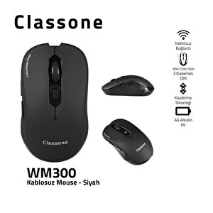 Wm300 Seri̇si̇ Kablosuz Mouse Si̇yah