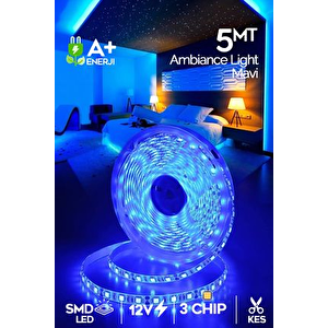 ( Amazon ) 14.4w 3 Çip Şerit Led / 40x40 / İç Mekan - Mavi - 5 Metre