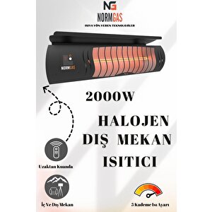 Kiş Güneşi̇ – Wi̇nter Sun 2000