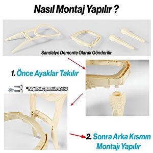Begonya Sandalye Sert Plastik Ahşap Koltuk Bahçe Balkon Mutfak Yemek Masası Sandalyesi Kahverengi