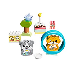Duplo Sesli İlk Yavru Köpeğim Ve Yavru Kedim 10977