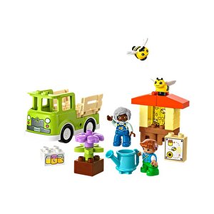 Duplo Kasabası Arıların Ve Arı Kovanlarının Bakımı 10419