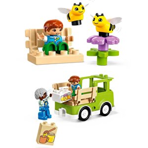 Duplo Kasabası Arıların Ve Arı Kovanlarının Bakımı 10419