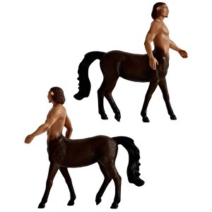 Schleich Harry Potter Büyücülük Dünyası Mini Figür Firenze 13986