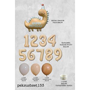 Retro Dinazor Tema Yaş Balonlu Doğum Günü Balon Zinciri Seti Retro Dinozor Konsept 7