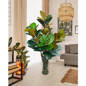 Yapay Ağaç Kauçuk Ağacı Ficus Elastica  Salon Çiçeği 150*90 Doğal Gövdeli 61 Yaprak