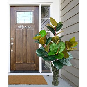 Yapay Ağaç Kauçuk Ağacı Ficus Elastica  Salon Çiçeği 150*90 Doğal Gövdeli 61 Yaprak