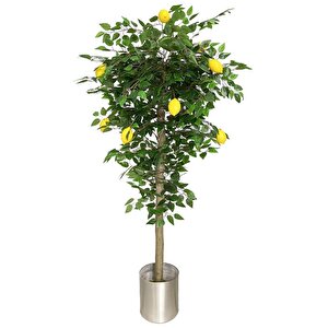 Yapay Limon Ağacı 180cm Doğal Görünümlü Yapay Ağaç