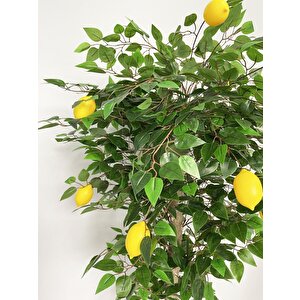 Yapay Limon Ağacı 180cm Doğal Görünümlü Yapay Ağaç