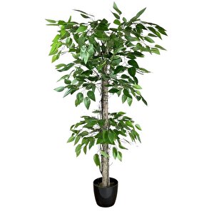 Yapay Ağaç Benjamin 2 Gövdeli Çalılı 2 Katlı 120x70cm Siyah Plastik Saksılı