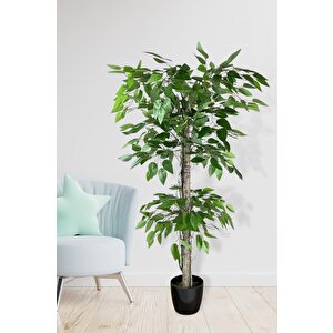 Yapay Ağaç Benjamin 2 Gövdeli Çalılı 2 Katlı 120x70cm Siyah Plastik Saksılı