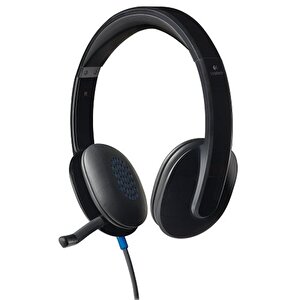H540 Usb Kablolu Kulaklik Si̇yah 981-000480