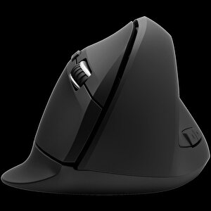 Office M40 2.4ghz Vertical Dikey Mouse