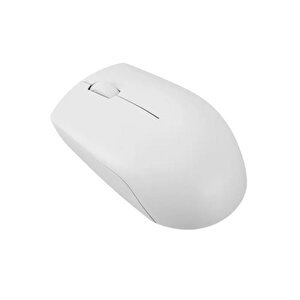 Kablosuz Mouse 300 Wireless Beyaz