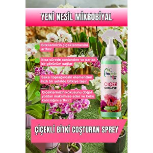 Çiçek Coşturan Çiçekli Bitkiler Için Çiçek Coşturan Özel Besini. Natural