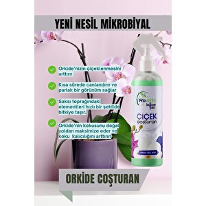 Orkideler İçin Çiçek Coşturan Özel Besini. Orkidelerinize Canlılık Katın