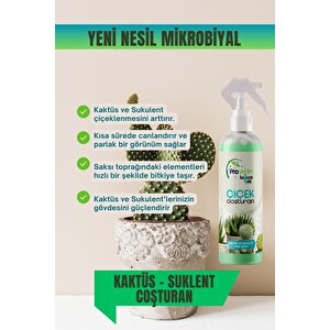 Kaktüs Ve Sukulent Için Çiçek Coşturan Özel Bitki Besini. Kaktüs ve Sukulentlerinize Canlılık Katın