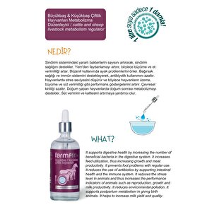 Farm Pro Büyükbaş Ve Küçükbaş Çiftlik Hayvanları Için Probiyotikli Metabolizma Düzenleyici