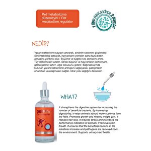 Vetorin Pet Pro Pet Hayvanları Için Probiyotikli Metabolizma Düzenleyici 100ml