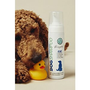 4'ü 1 Arada Probiyotikli Köpek Şampuanı, Koku Önleyici, Nemlendirici, Doğal Tüy Bakımı 200 ML