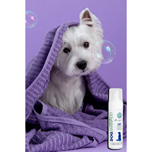 4'ü 1 Arada Probiyotikli Köpek Şampuanı, Koku Önleyici, Nemlendirici, Doğal Tüy Bakımı 200 ML