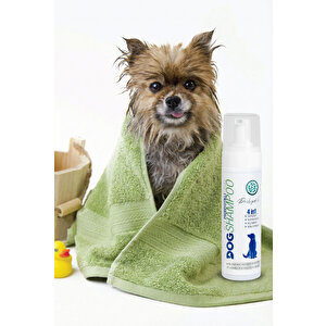 4'ü 1 Arada Probiyotikli Köpek Şampuanı, Koku Önleyici, Nemlendirici, Doğal Tüy Bakımı 200 ML