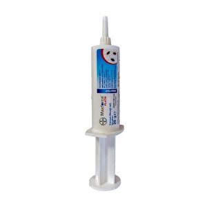 20 Gr Bayer Maxforce Hamamböceği Jeli