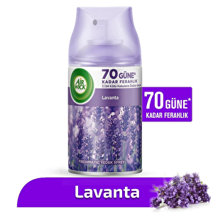 Freshmatic Otomatik Sprey Lavanta Yedek Sprey 250 Ml X 12 Adet