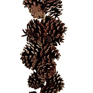 Yılbaşı Dekoru Natürel Kozalak Garland 100 Cm