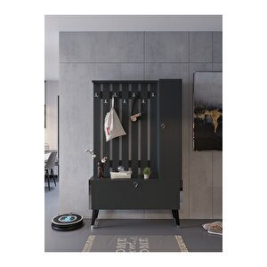 Festival Portmanto - Ayakkabılık P1002-4 Silver Antrasit Minifiks Bağlantılı
