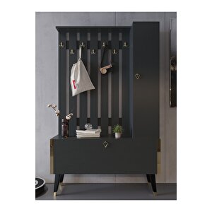 Festival Portmanto - Ayakkabılık P1002-4 Gold Antrasit Minifiks Bağlantılı