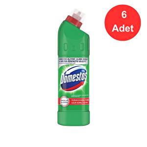 Çamaşır Suyu Yoğun Kıvamlı Maksimum Hijyen Dağ Esintisi 750 Ml X 6 Adet