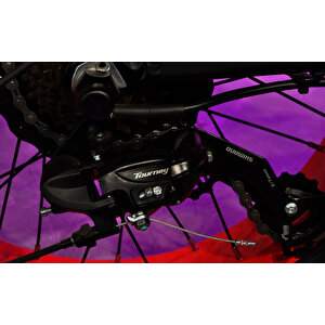 Citycoco Fatbike  Mini Katlanabilir Elektrikli Bisiklet 250w