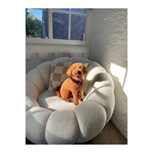 Pumpkin Teddy Beyaz Peluş Berjer Beyaz