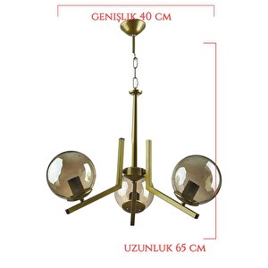 Tanya 3'lü Bal Renk Camlı Siyah Modern Avize